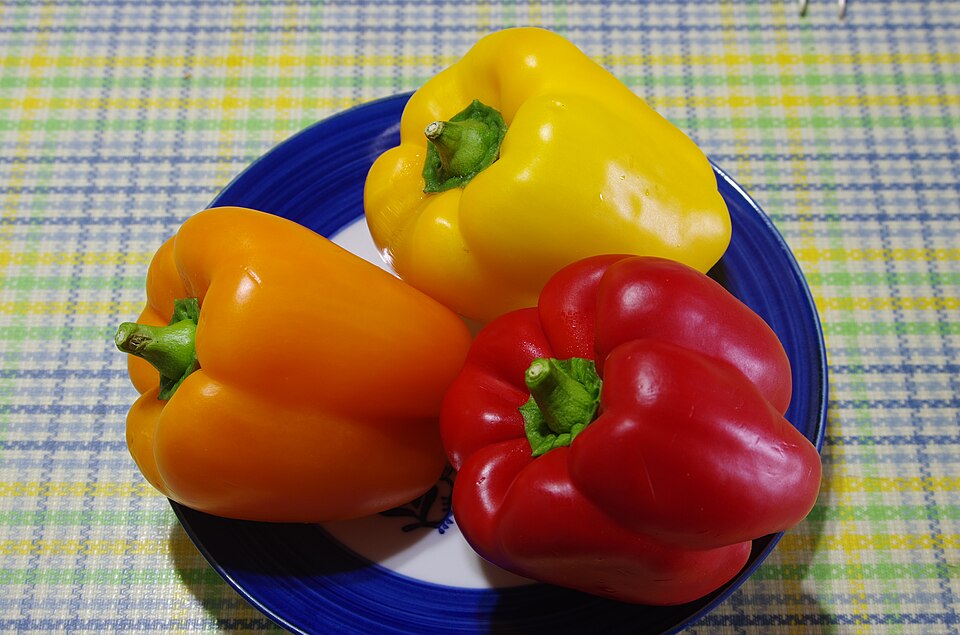 【パプリカの育て方】色づくまでのコツと管理方法!初心者でも甘く育てる完全ガイド